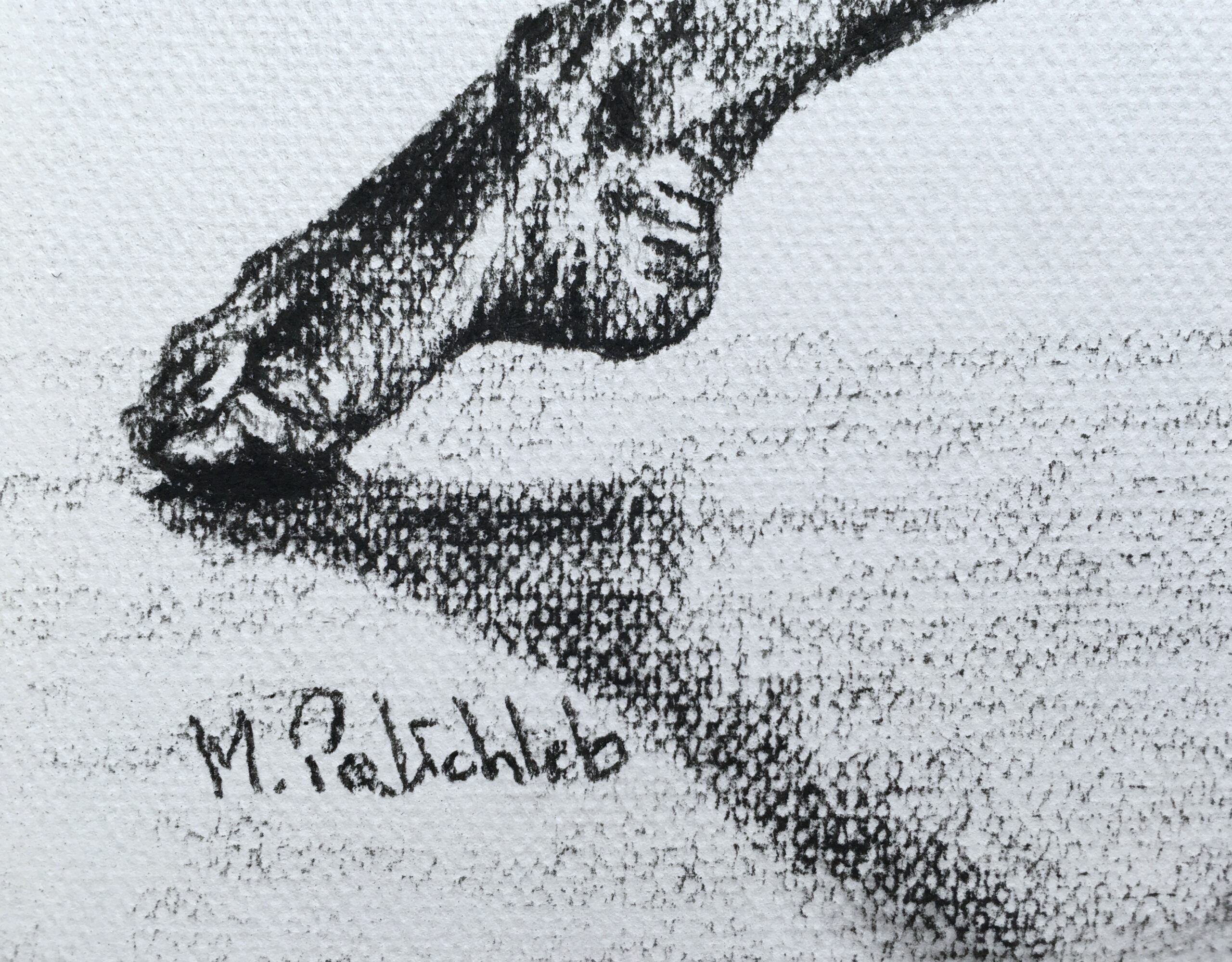 Rysunek węglem Akt nr 21 - obrazek 2