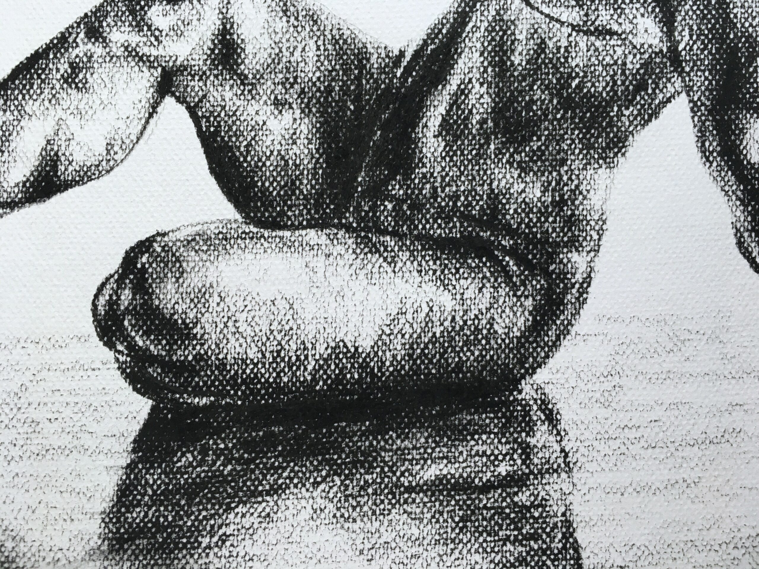 Rysunek węglem Akt nr 21 - obrazek 3