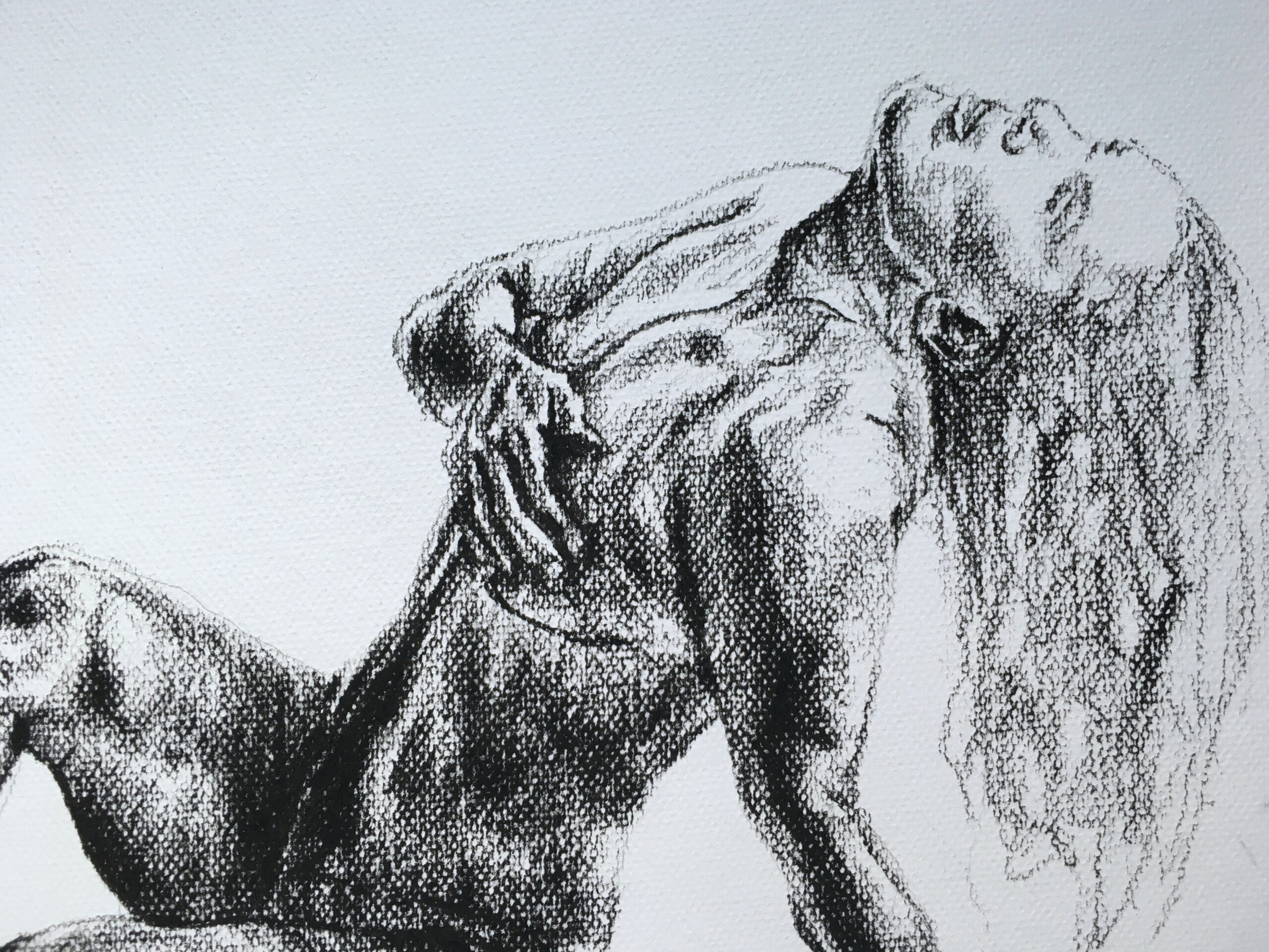 Rysunek węglem Akt nr 21 - obrazek 4