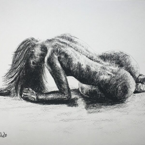 Rysunek węglem Akt nr 22